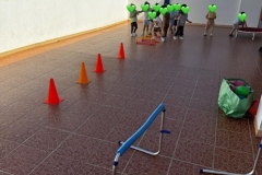 5ace57b3-3b65-4568-9d93-81e698fa65f9